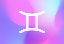 Gemini Gemini