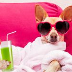 The Zodiac Signs on Self-Care Zodiac Sign Self-Care