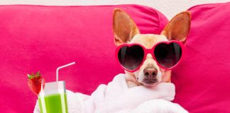 Zodiac Sign Self-Care