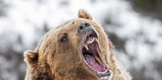 Is This an Energy Shift or Just a Bad Mood?