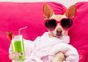 Zodiac Sign Self-Care