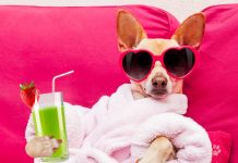 Zodiac Sign Self-Care