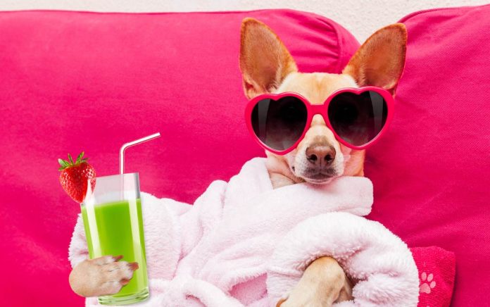 Zodiac-Sign-Self-Care Zodiac Sign Self-Care